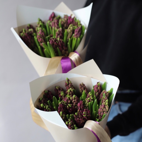 Purple Hyacinthus - 25 гиацинтов 