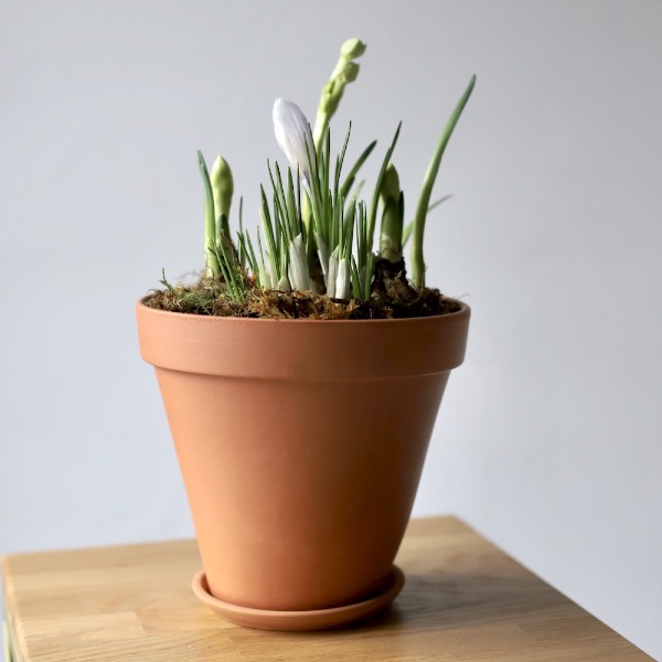 Spring flowers in a ceramic pot - Размер S