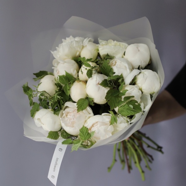 White Peony -  15 пионов 