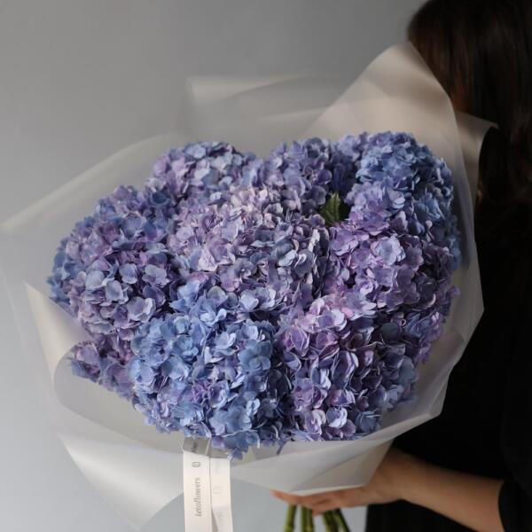Lavender Hydrangea - 9 гортензий