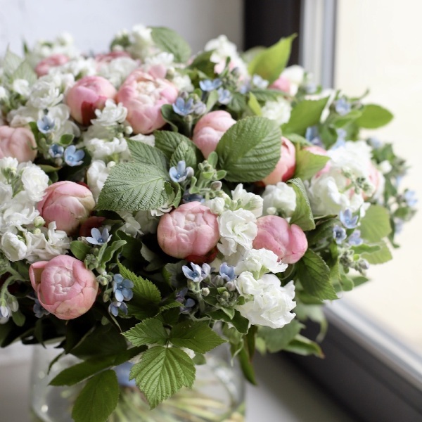 Peonies with Stock and Oxypetalum in a vase - Размер XL