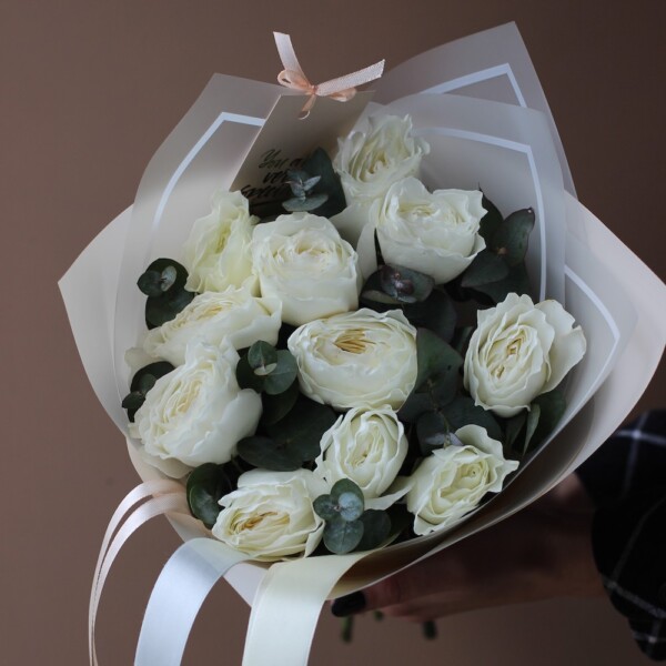 White Cloud David Austin Rose - 11 роз