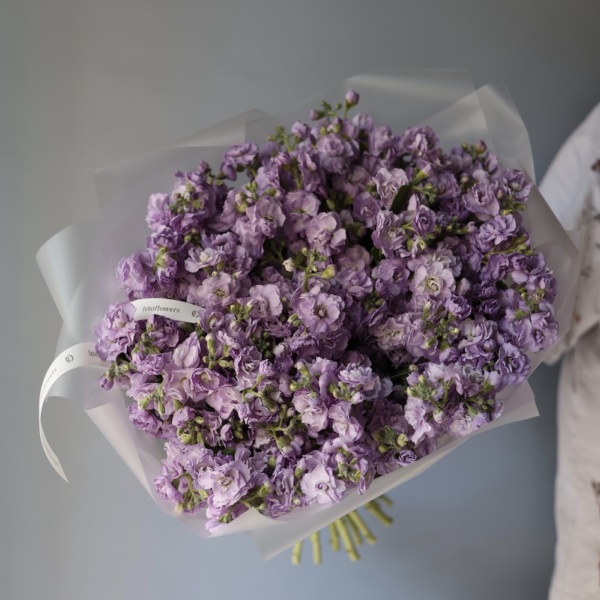 Spray Stock -  19 маттиол 