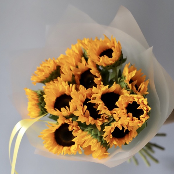 Sunflower -  15 подсолнухов 
