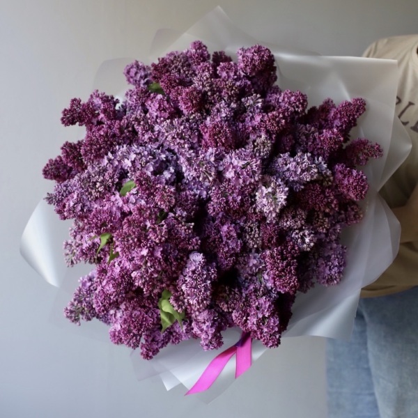 Local Lilac - Размер XL