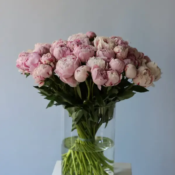 Pink Peonies in a vase - 39 пионов