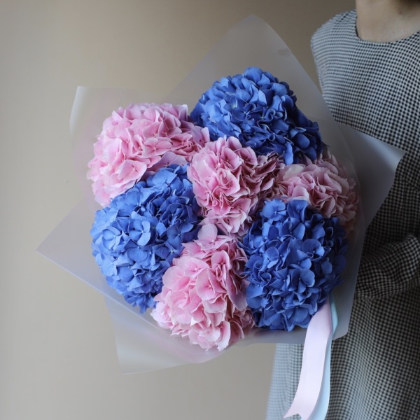 Bouquet of Colorful Hydrangeas - 7 гортензий
