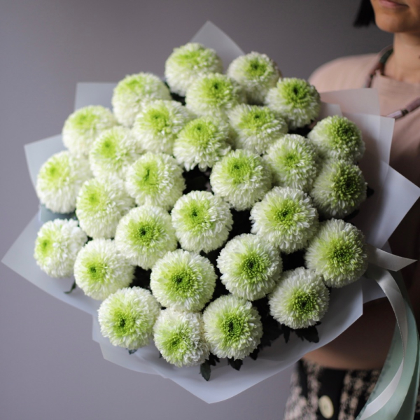 White Chrysanthemum - 29 хризантем 