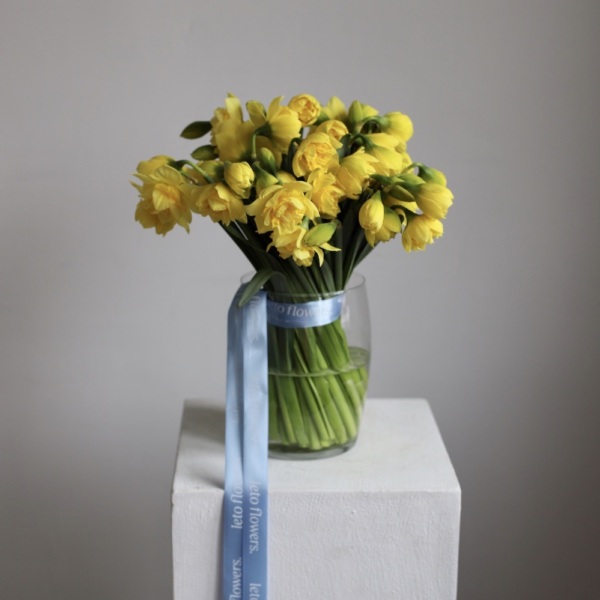Daffodils in a vase -  49 нарциссов 