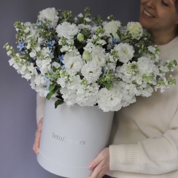 Stock with Oxypetalum and Lisiantus in a hat box