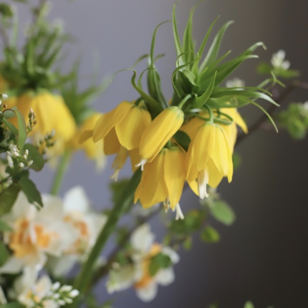 Sunny bouquet in a vase - Размер L