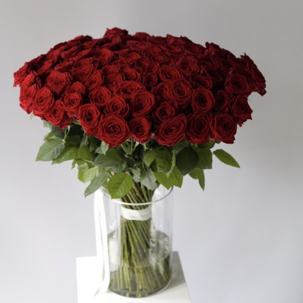 Roses in a vase - 101 роза