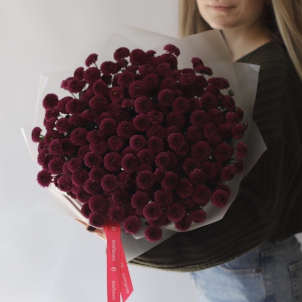 Spray Chrysanthemum - 25 хризантем