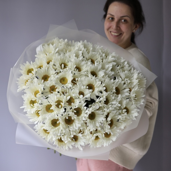 Large Chamomile - 75 ромашек