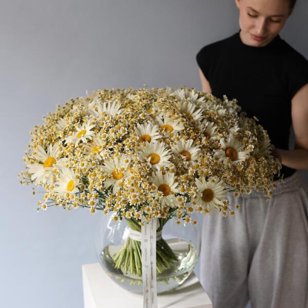 Bouquet of large and spray Chamomile - Размер L ( в вазе )