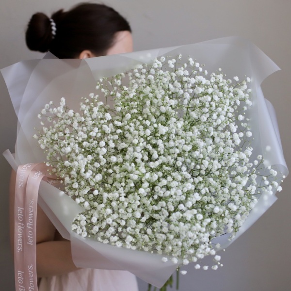 White Baby's Breath - 25 гипсофил