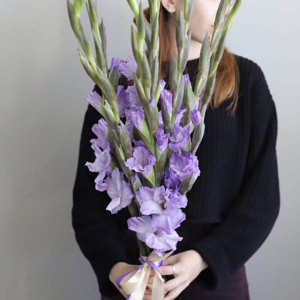 Lilac Gladiolus - 9 гладиолусов 