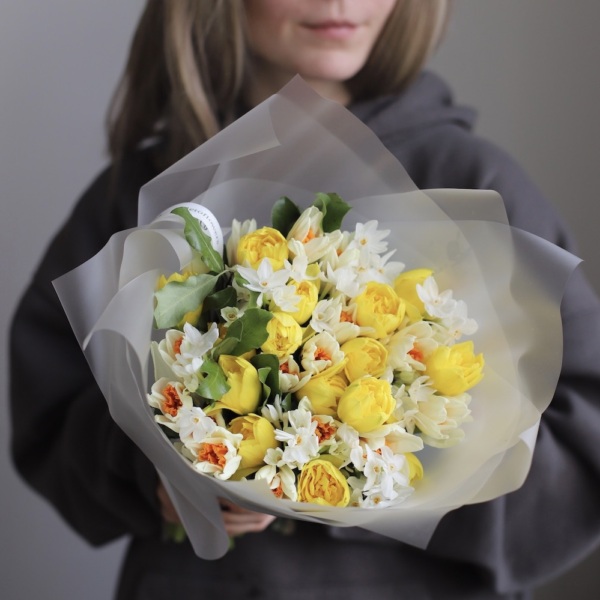 Mix of different Daffodils - 49 нарциссов