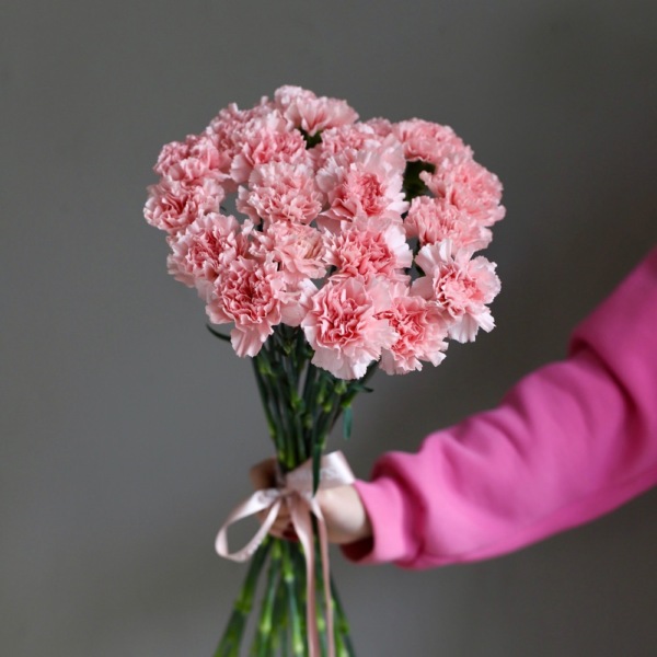 Pink Carnations - 19 гвоздик