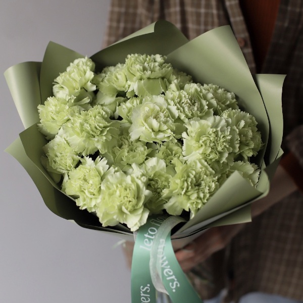 Green Carnations - 19 гвоздик