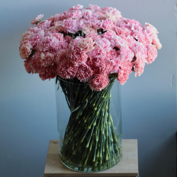 Carnations in a vase - 151 гвоздика 