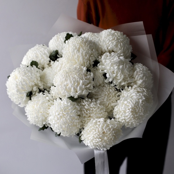 Large white Chrysanthemum - 19 хризантем