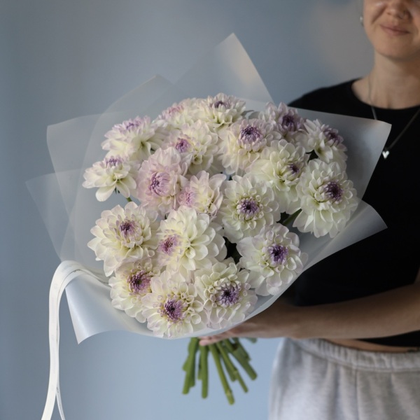 White Dahlia - 19 георгин