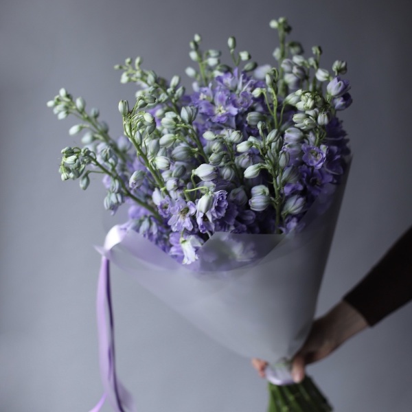 Lavender Delphinium - 19 дельфиниумов