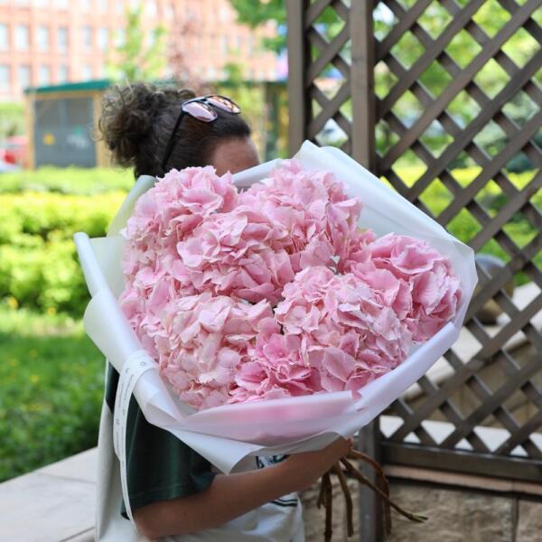 Pink Hydrangea - 9 гортензий