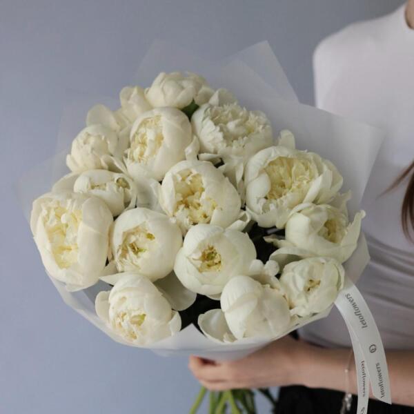 White Peony - 15 пионов