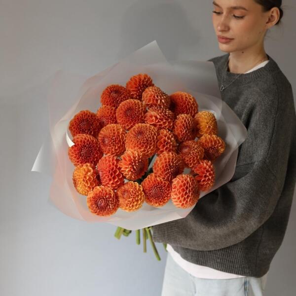 Orange Dahlia - 25 георгин