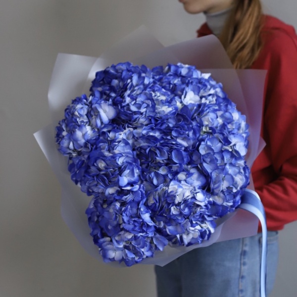 Colombian Hydrangeas - 11 гортензий