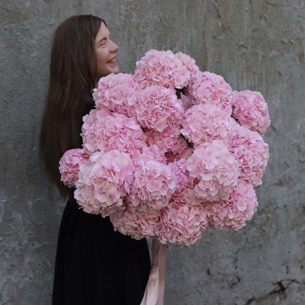 Pink Hydrangea - 25 гортезий