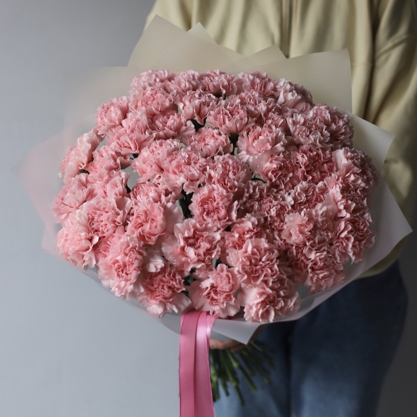 Pink Carnations - 49 гвоздик