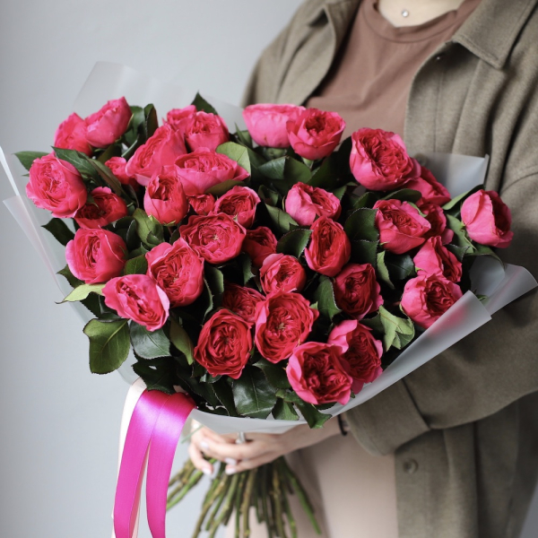 Baronesse Garden Rose -  35 роз 