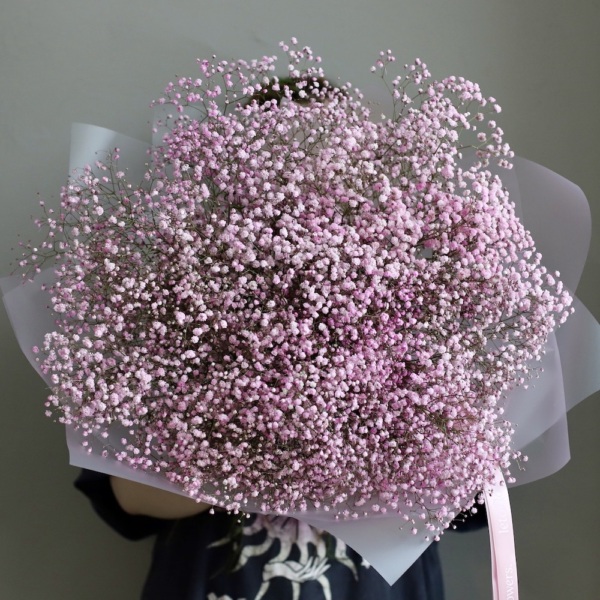 Pink Baby's Breath -  25 гипсофил 