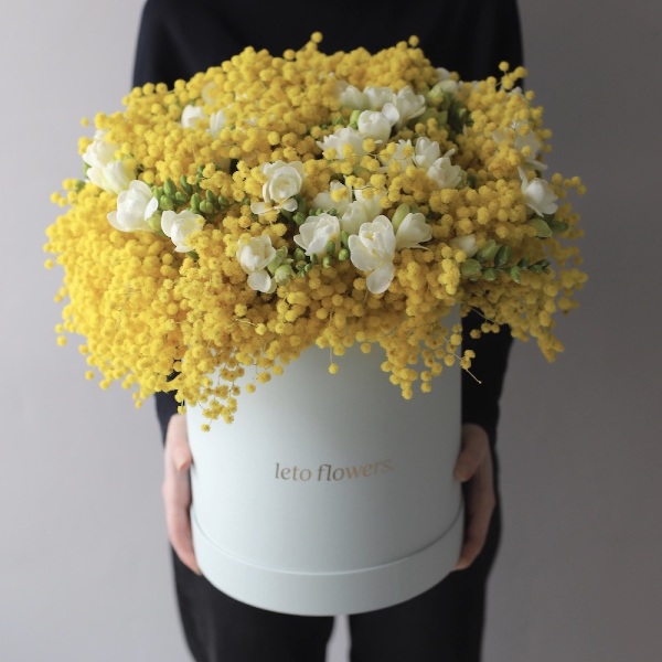 Mimosa with Freesia in a hat box - Размер L