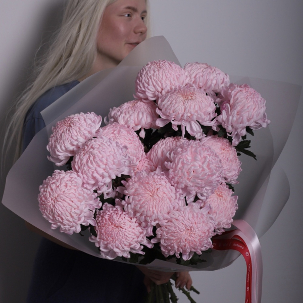 Large pink Chrysanthemum -  19 хризантем 