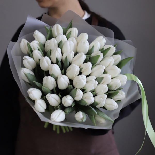 White Tulips - 49 тюльпанов