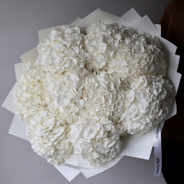 White Hydrangea - 9 гортензий