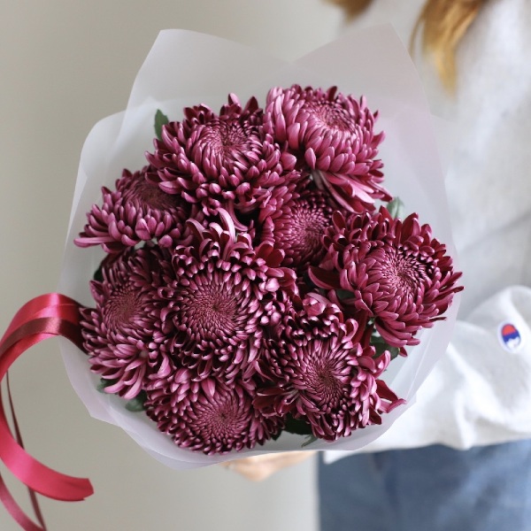 Violet Chrysanthemum - 9 хризантем