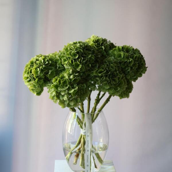 Hydrangeas in a vase - 9 гортензий