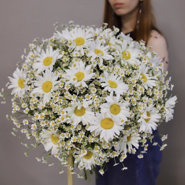 Bouquet of large and spray Chamomile - Размер M