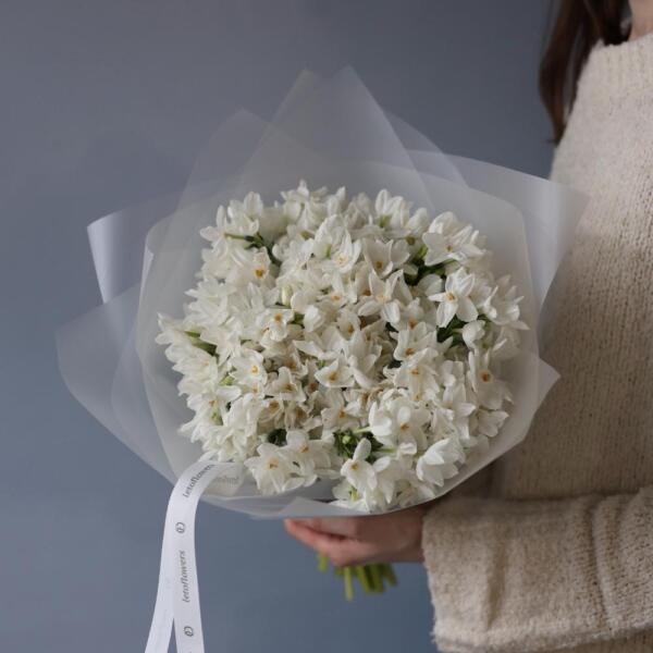 White spray Daffodils - 99 нарциссов