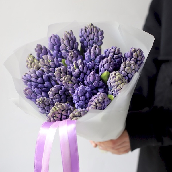 Lilac Hyacinthus - 25 гиацинтов