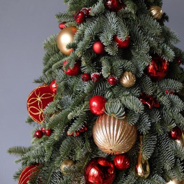 Christmas Tree 'Golden red' -  55 см