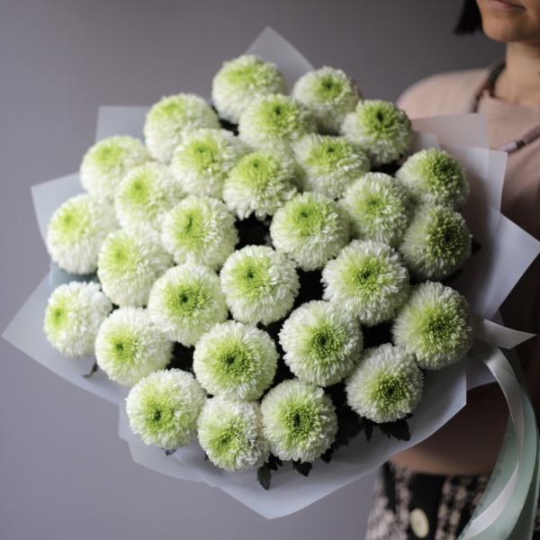 White Chrysanthemum - 29 хризантем