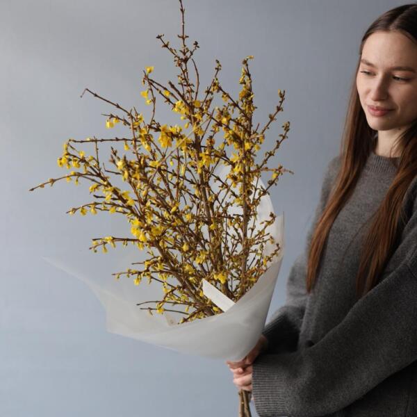 Forsythia - 9 веток фрозиции