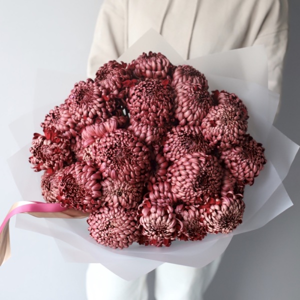 Chocolate Chrysanthemum -  29 хризантем 