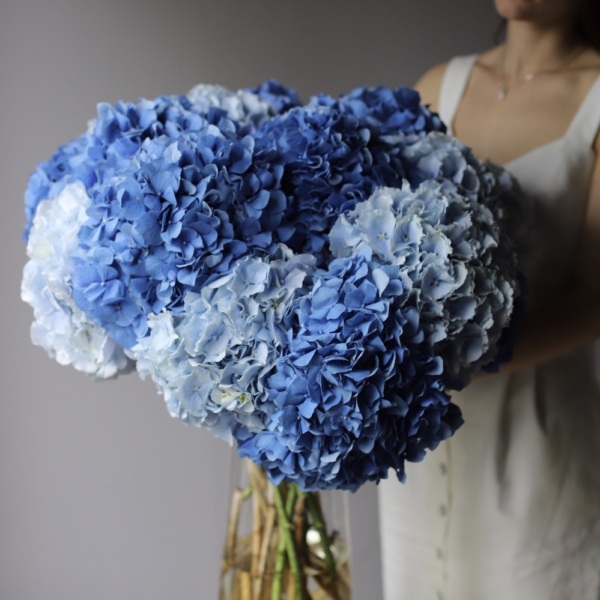 Hydrangeas in a vase - 19 гортензий  (ваза может отличаться)